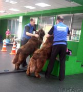 Превью фото № 201388