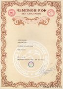 Превью фото № 201489