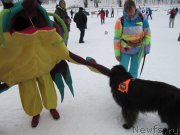 Превью фото № 201524