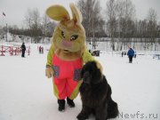 Превью фото № 201527