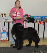 Превью фото № 201533