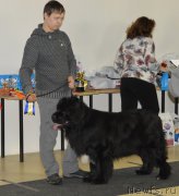 Превью фото № 201536