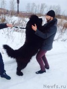 Превью фото № 201543