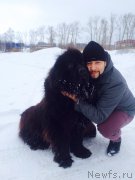 Превью фото № 201544