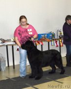 Превью фото № 201552