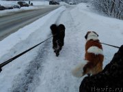 Превью фото № 201556