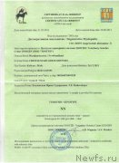 Превью фото № 201597