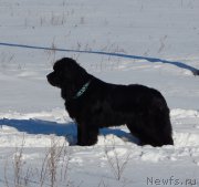 Превью фото № 201623