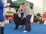 Превью фото № 201633