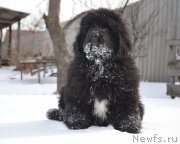 Превью фото № 201638