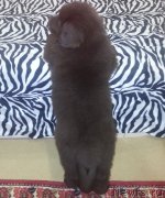 Превью фото № 201681