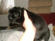 Превью фото № 201696