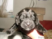 Превью фото № 201703