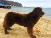 Превью фото № 201723