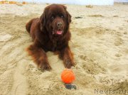 Превью фото № 201724