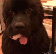 Превью фото № 201777