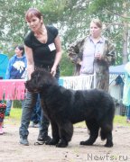 Превью фото № 201784