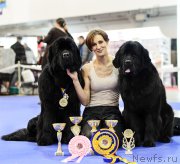 Превью фото № 201821