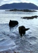 Превью фото № 201822