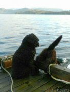 Превью фото № 201823