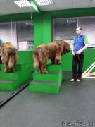 Превью фото № 201835