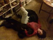 Превью фото № 201837