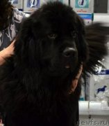 Превью фото № 201846