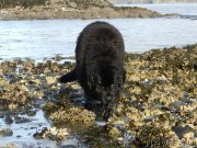 Превью фото № 201847