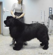 Превью фото № 201853