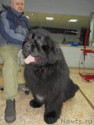 Превью фото № 201854