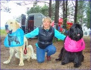 Превью фото № 201863