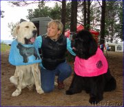 Превью фото № 201864