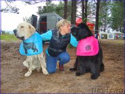 Превью фото № 201868