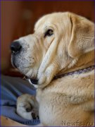 Превью фото № 201915