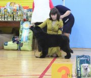 Превью фото № 201952