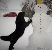 Превью фото № 201988