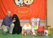 Превью фото № 201990