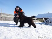 Превью фото № 201995