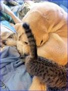 Превью фото № 202046