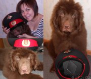 Превью фото № 202073