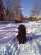 Превью фото № 202121