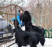 Превью фото № 202143