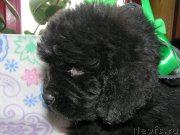 Превью фото № 202162