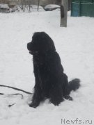 Превью фото № 202206