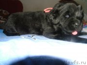 Превью фото № 202219