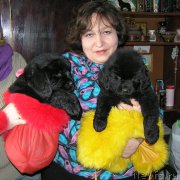 Превью фото № 202300