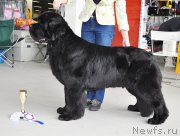 Превью фото № 202315