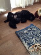 Превью фото № 202384