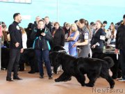 Превью фото № 202388