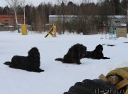 Превью фото № 202403